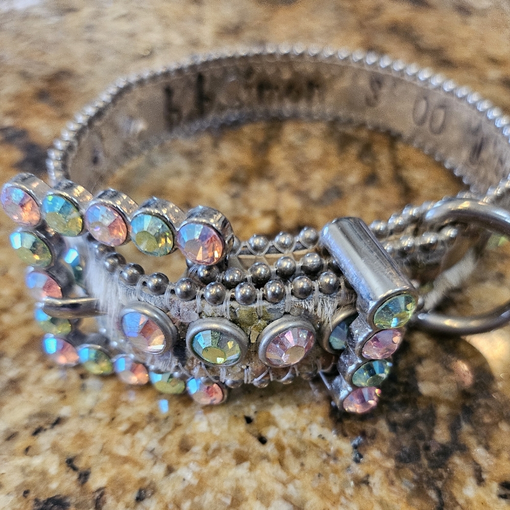 B B Simon Dog Collar